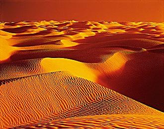 Switch 2外包装封面和Switch 2游戏封面公布